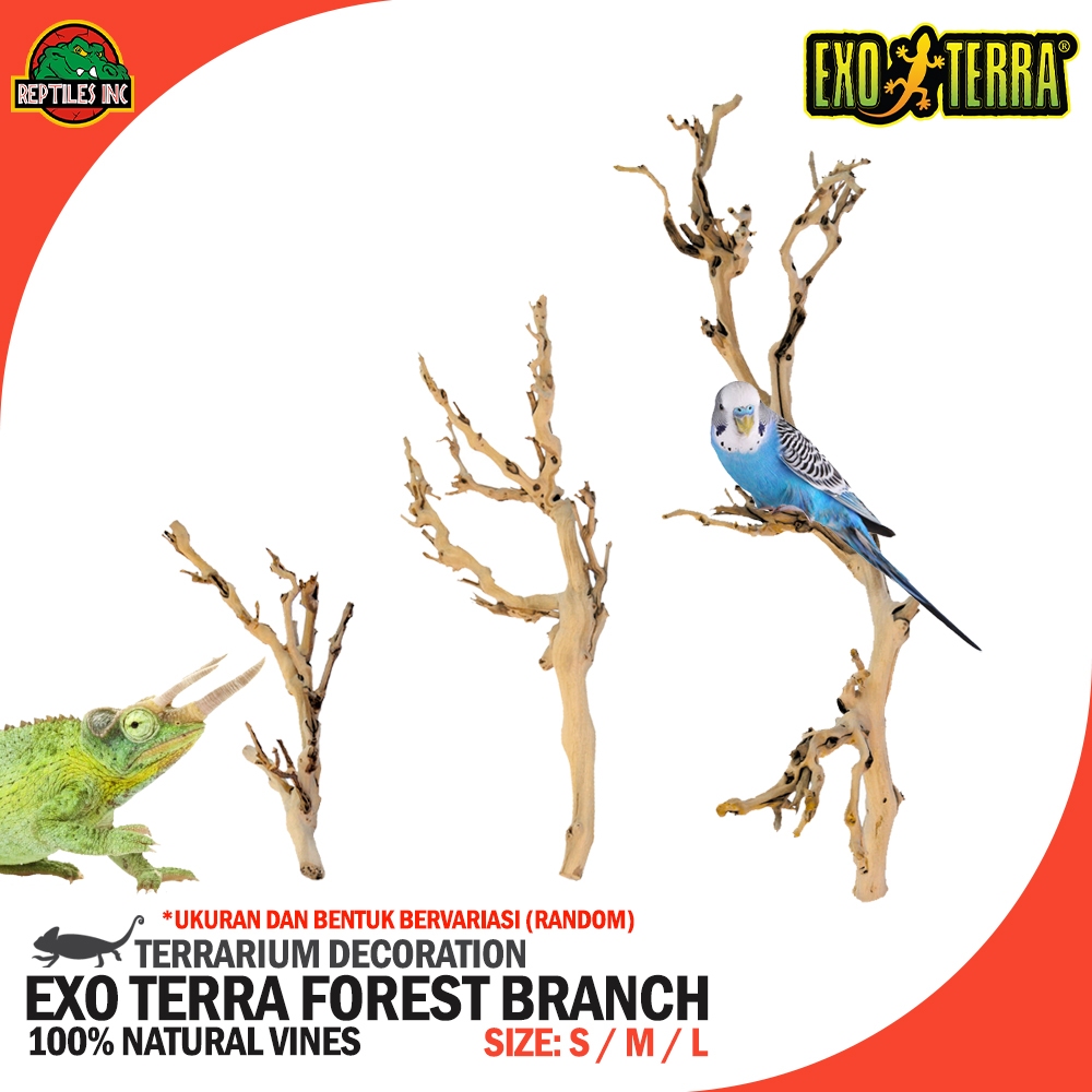 Jual Exoterra Forest Branch MEDIUM Ranting Pohon Hiasan Dekorasi ...