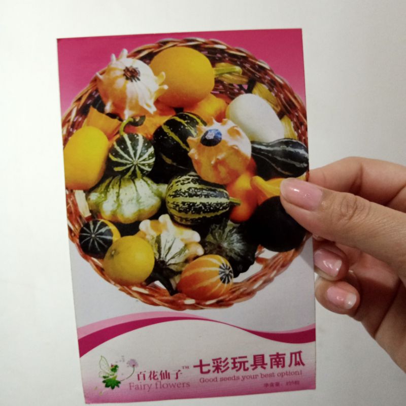 Jual benih LABU MINI MANIS asli kemasan sesuai Poto isi banyak | Shopee ...
