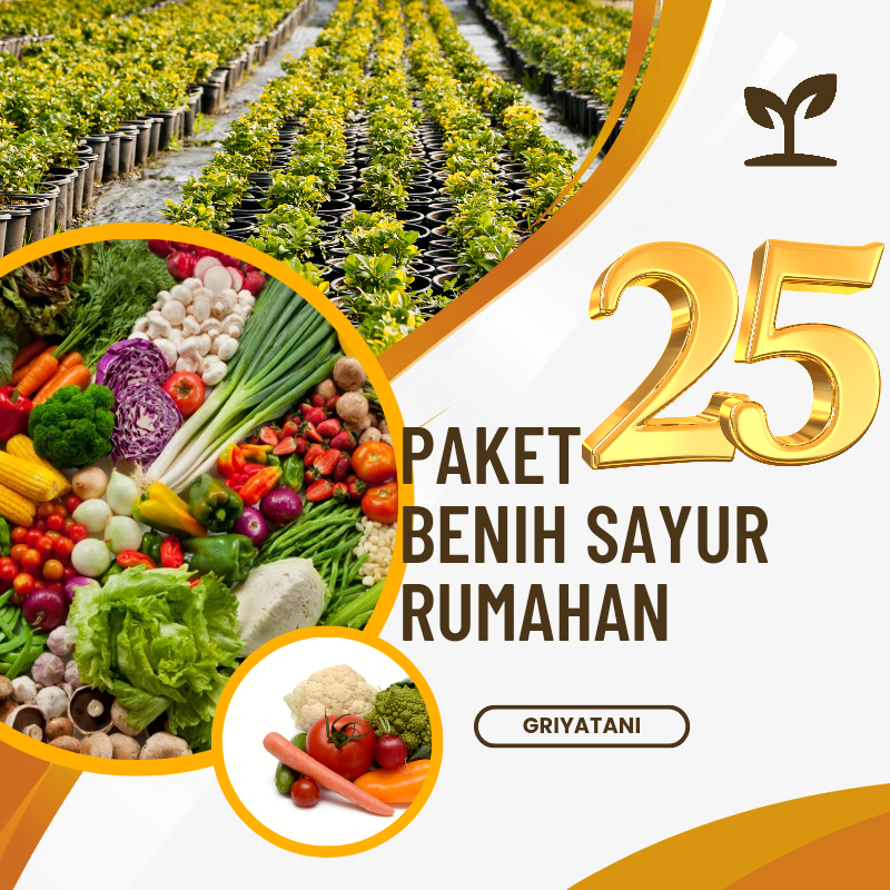 Paket Lengkap 25 Macam Benih Sayuran Paket Murah Pemula 30 Hari Panen Kangkung Cabe Sawi Selada