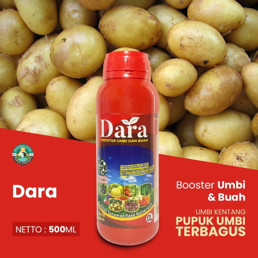 Jual pupuk umbi umbian DARA 500ML booster umbi dan buah kentang - pupuk ...