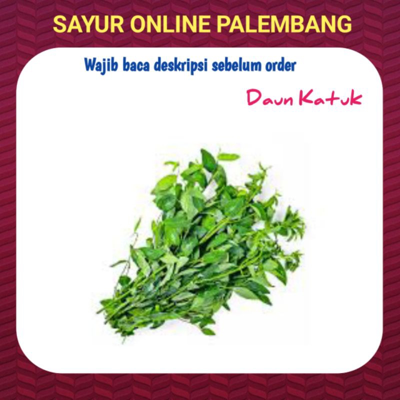 Jual Daun Katu Katuk Per Ikat Pasar Toko Warung Sayur Sayuran Segar Online Palembang Shopee