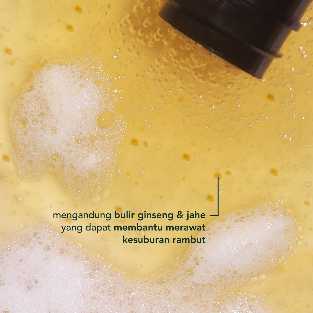 Jual [BPOM] LAB ON HAIR Anti Hair Fall Control Shampoo | Hair Scalp ...