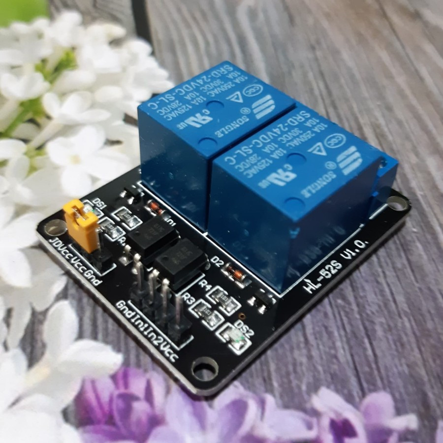 Jual Relay Module 2 Ch 12V DC Low Level Trigger +Optocoupler High ...