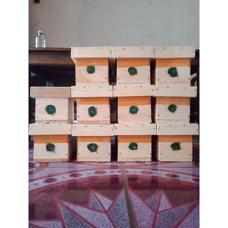Jual Koloni lebah madu klanceng/trigona (koloni super) | Shopee Indonesia