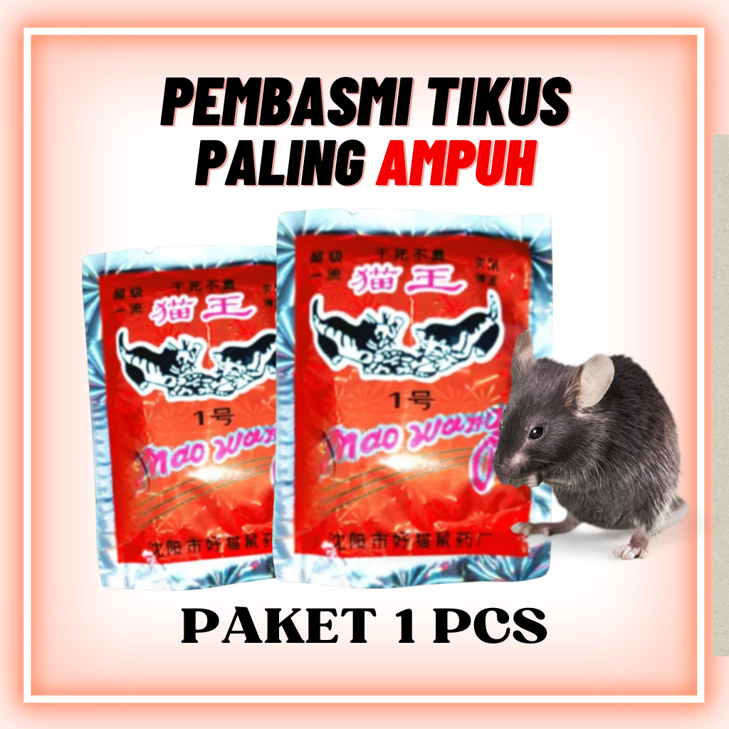 Jual Racun Tikus Mati Kering Tidak Bau Di Jamin Ampuh Mao Wang Paling