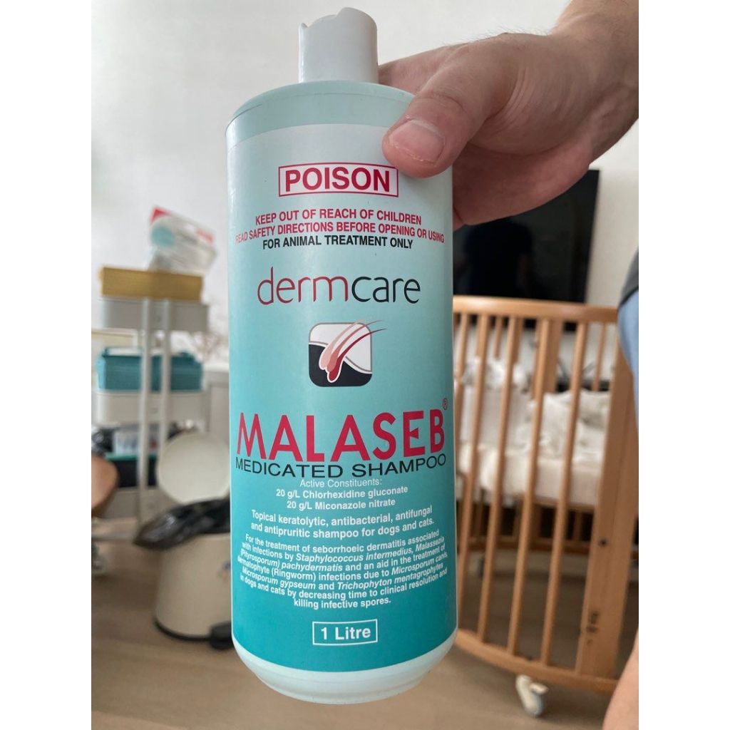 Jual Malaseb Medicated Shampoo Dermcare 250ml ANTI JAMUR anjing kucing sakit kulit jamur scabies