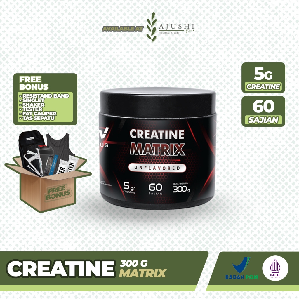 Jual Provus Creatine Matrix / Micronized Creatine 300grm 60serv
