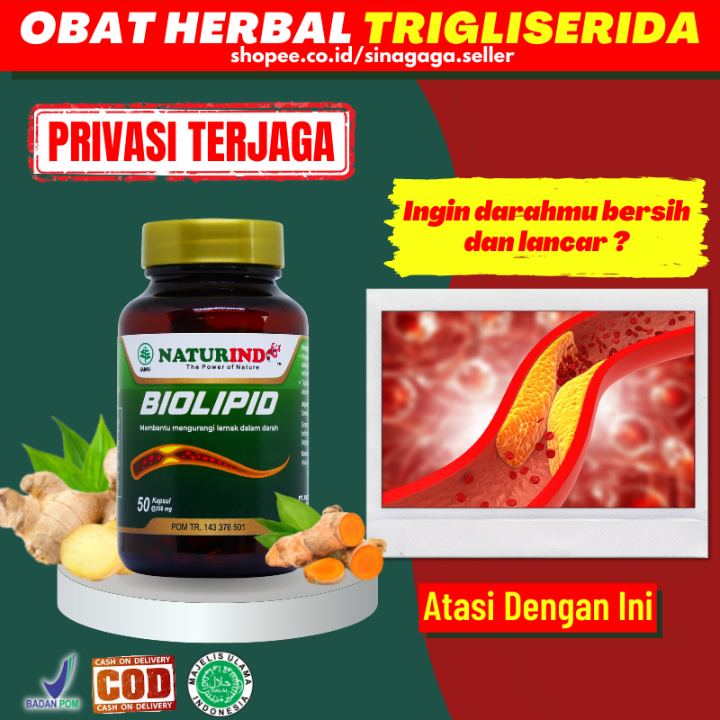 Jual Obat Herbal Penurun Kolesterol Lemak Darah Tinggi Jahat Hipertensi