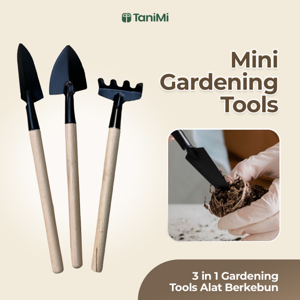 Jual TANIMI - Set Sekop Mini Lengkap 3 in 1 (MINI GARDENING TOOLS ...