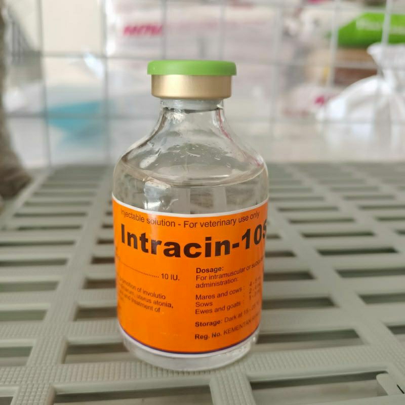 Jual intracin-10S.. 50 ml obat memacu kelahiran dan pendarahan | Shopee ...