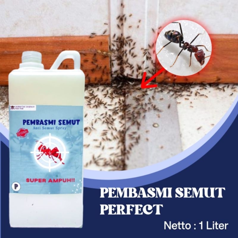 Jual Racun Pembasmi semut Perfect ampuh 1ltr | Shopee Indonesia