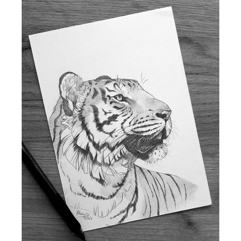 Jual JASA SKETSA ARSIR HALUS GAMBAR BEBAS REQUEST | Shopee Indonesia