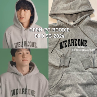 Jual OPEN PO HOODIE EXO SG 2024 BORDIR WE ARE ONE by dbyhw Shopee Indonesia