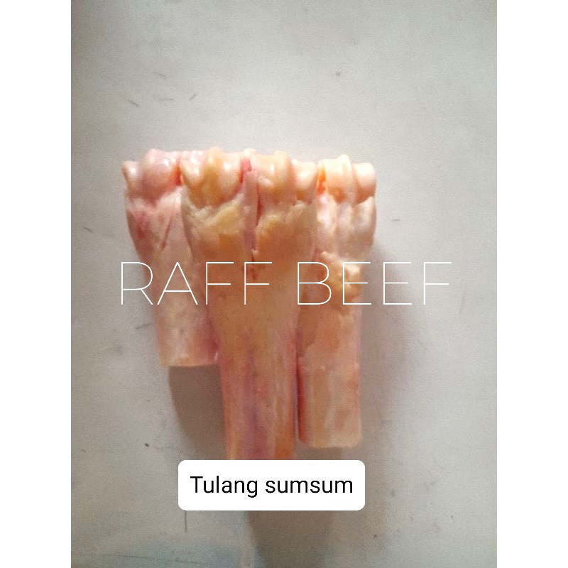 Jual Sumsum Tulang Sapi 1kg | Shopee Indonesia