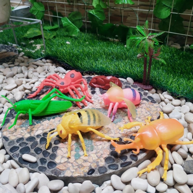 Jual Mainan Set Figure Serangga Ukuran Besar - Hewan Insect Jumbo ...