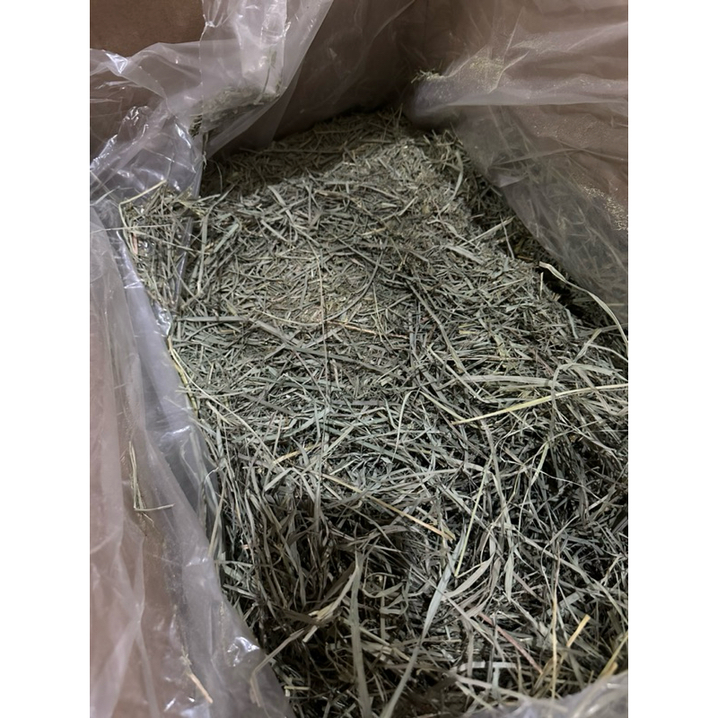 Jual ORCHARD HAY merk RHH Rabbit Hole Hay 1kg | Shopee Indonesia