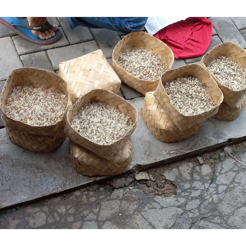 Jual KEROTO / TELUR SEMUT RANGRANG. | Shopee Indonesia