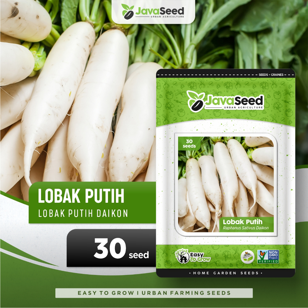 Jual Javaseed Benih Lobak Putih Chinese White Long Radish 30 Benih