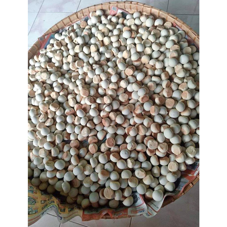 Jual Nopia Mino Nopia Mini Asli Banyumas Rasa gula jawa Durian Cokelat ...