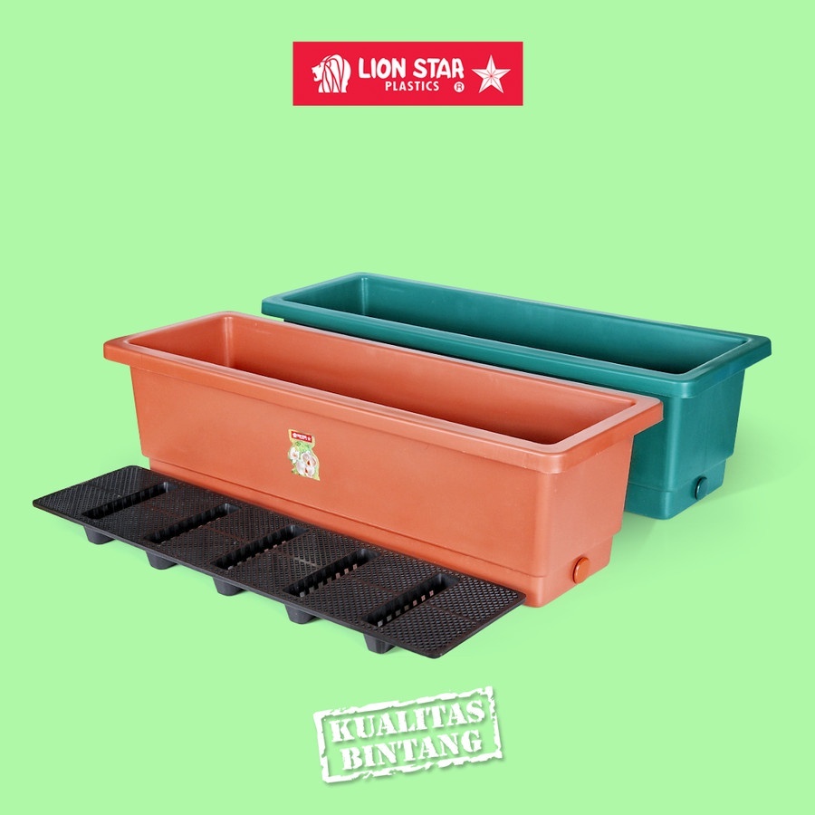 Jual FP12 Rectangular Flower Pot Small Pot Bunga Lion Star | Shopee ...