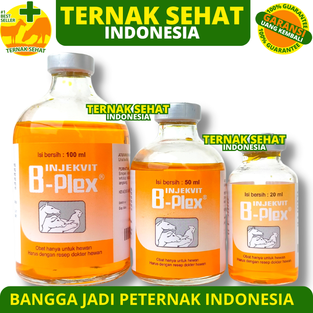 Jual INJEKVIT B PLEX 20ml 50ml Dan 100ml - Vitamin B Complex B Kompleks ...