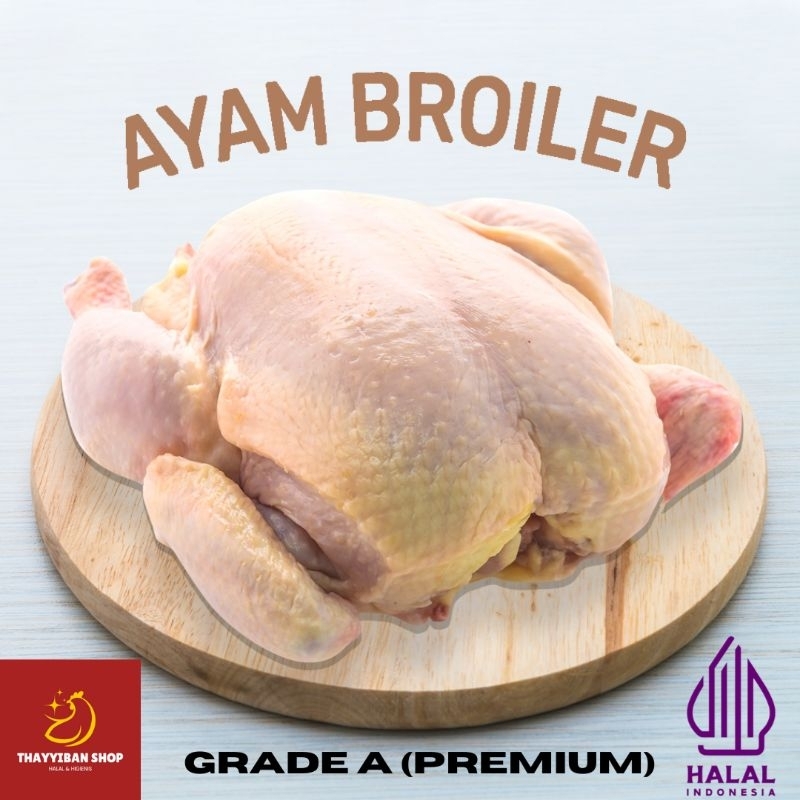 Jual Ayam Karkas Broiler Ayam Potong Utuh Qty 1 Ekor 0 9 1 0 Kg