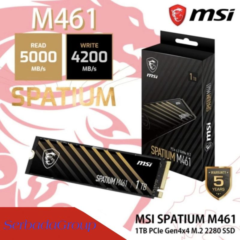 Jual SSD MSI SPATIUM M461 PCIe 4.0 NVMe M.2 GEN 4X4 M2 2280 | Shopee ...