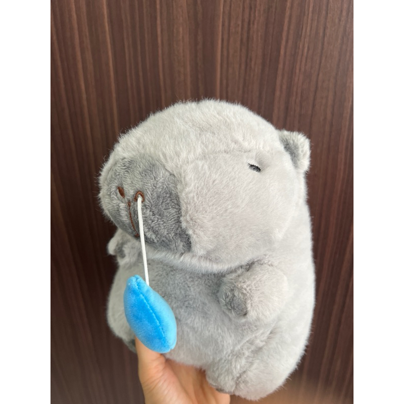 Jual DREAMTOYS96 Boneka Animal Capybara Ingusan Snort Plushie | Shopee ...