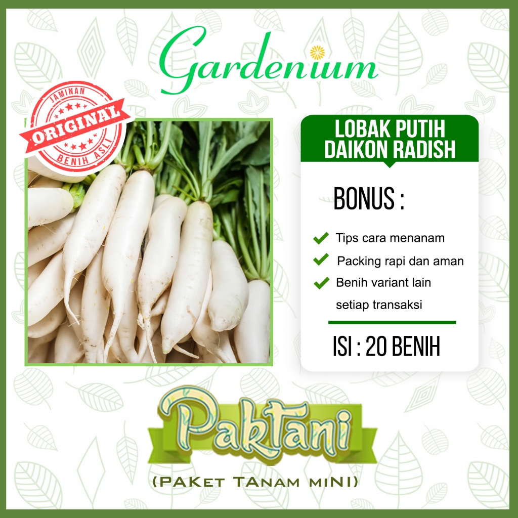 Jual 20 Benih Lobak Putih Daikon Radish Bibit Tanaman Sayur Unggul