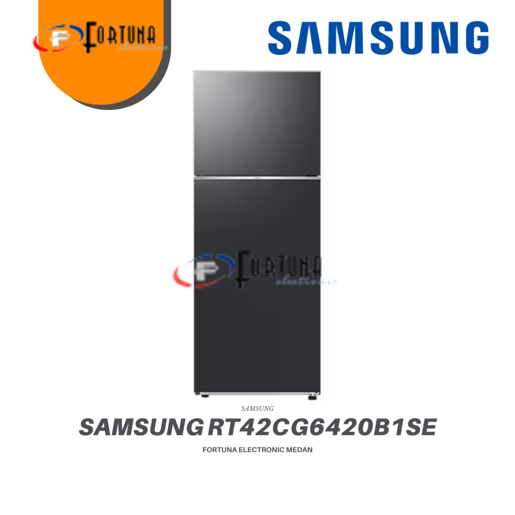 Jual KULKAS KELURAGA SAMSUNG RT42CG6420B1SE / RT42 KULKAS 2 PINTU W ...