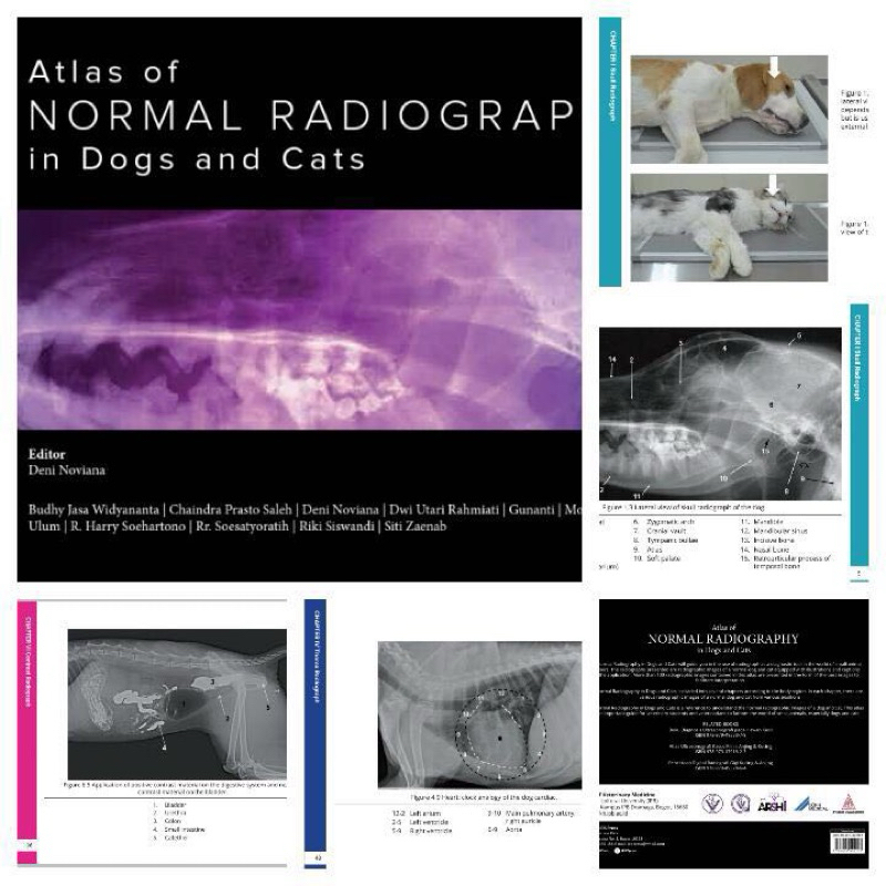 Jual Atlas of Normal Radiography in Dogs and Cats | Shopee Indonesia