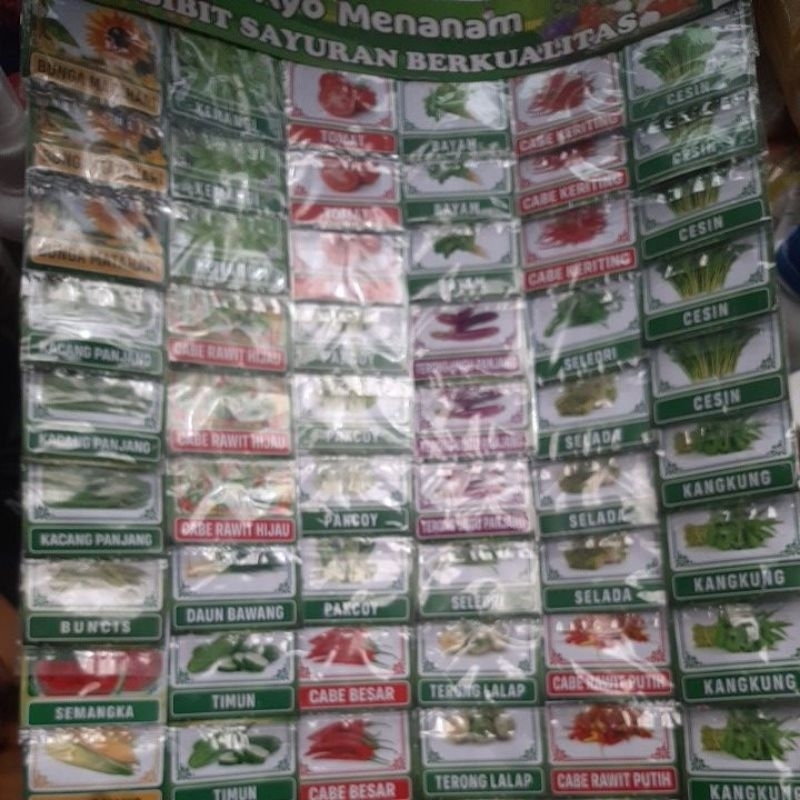 Benih Bibit Sayuran  Berkualitas isi 60pcs