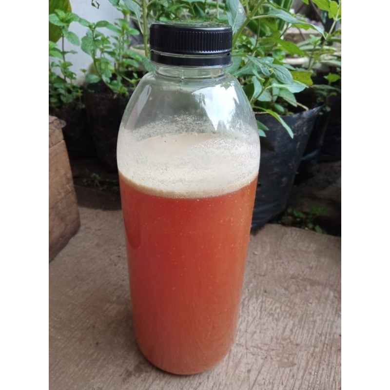 Jual POC bonggol pisang kemasan botol 1 liter | Shopee Indonesia