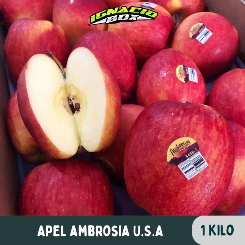 Jual Apel Ambrosia U.S.A 1Kg FRESH IMPORT IgnacioBox | Shopee Indonesia