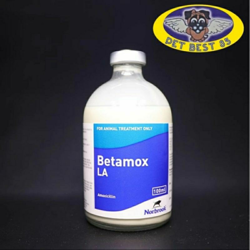 Jual Betamox LA 100ml Injection Suspension Antimicroba Semua Hewan/Pet ...