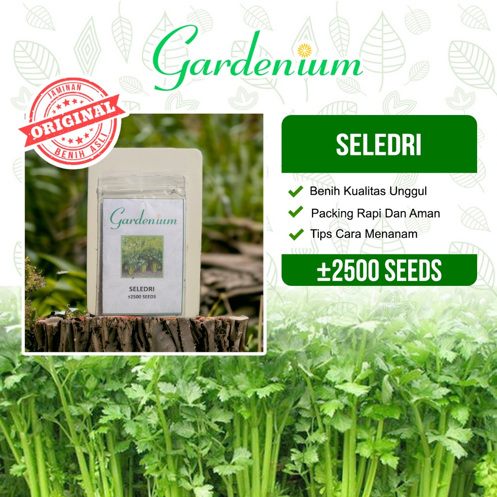 GARDENIUM Benih Seledri Hijau Unggul