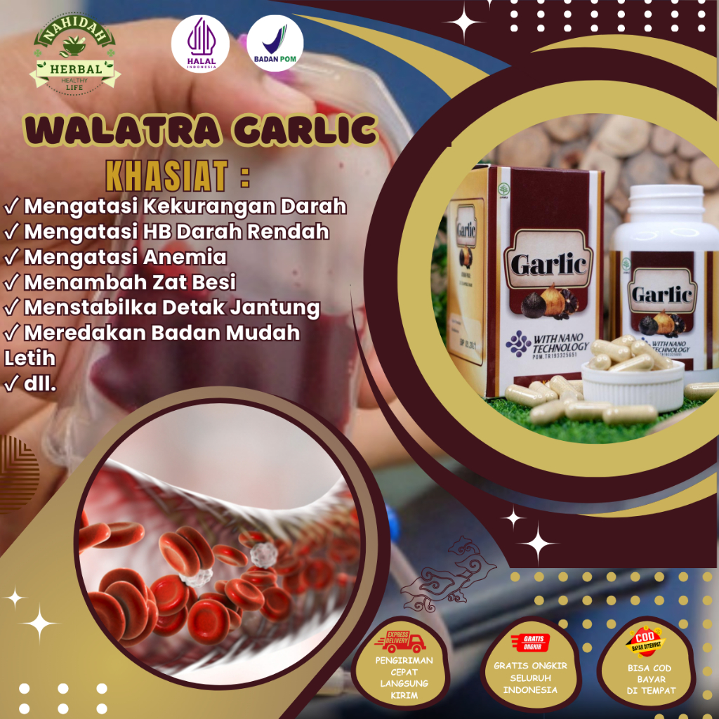 Jual Obat Anemia, Obat Kurang Darah, Obat HB Darah Rendah, Suplemen ...