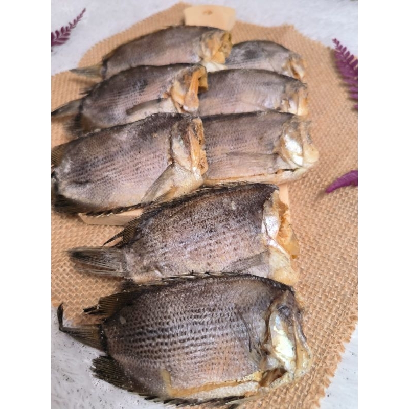 Jual Ikan Asin Tembakang/Biawan best seller | Shopee Indonesia