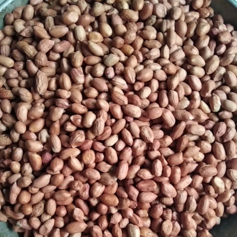 Jual Kacang Tanah Kupas 1 Kg Kacang Koja Dua Jari Kacang Vakum Premium