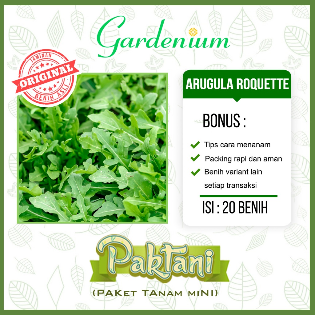 20 Benih Arugula Roquette Tanaman Sayuran Herbal Paktani