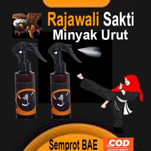 Jual obat syaraf kejepit pinggang semprot Rajawali minyak rempah ...