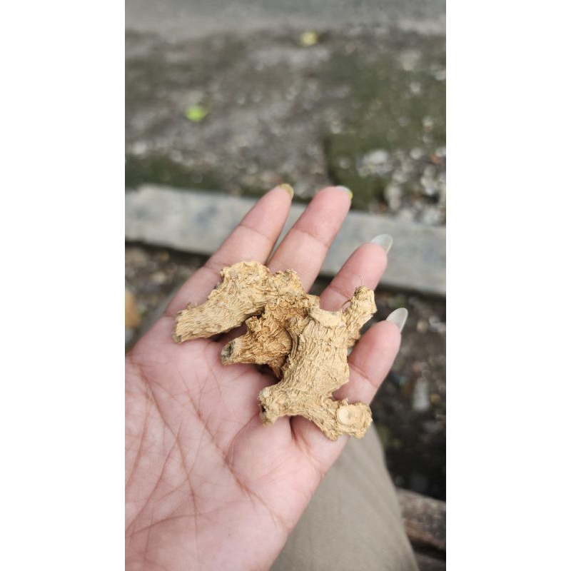 Jual Jahe kering rajang murah bolong 1kg | Shopee Indonesia