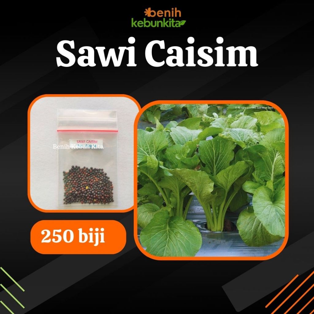 Jual Biji Benih Bibit Sayuran Sawi Hijau Caisim Tosakan Cap Panah Merah