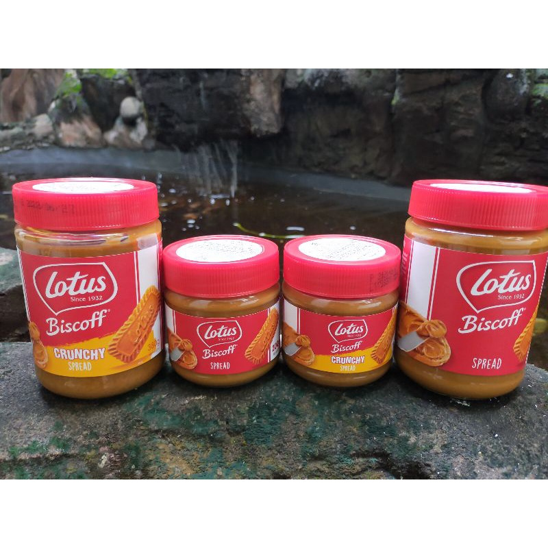 Jual Selai Biskuit Speculoos Lotus Biscoff Crunchy Spread Smooth 190gr ...