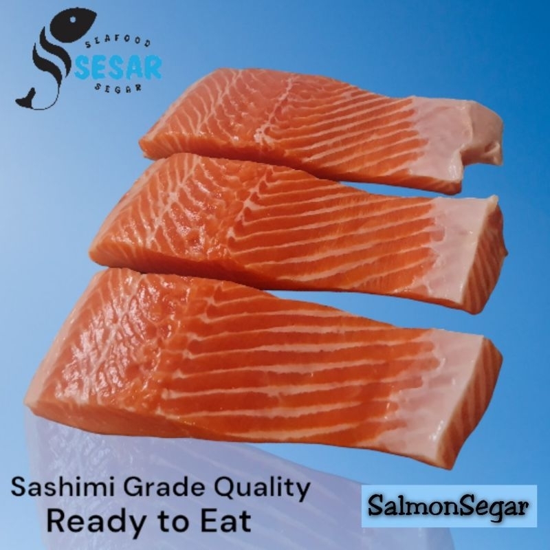 Jual Ikan Salmon Segar - Salmon Norway - Sashimi Grade Quality (Tanpa