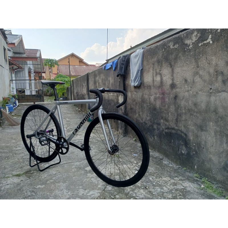 fixie repaint