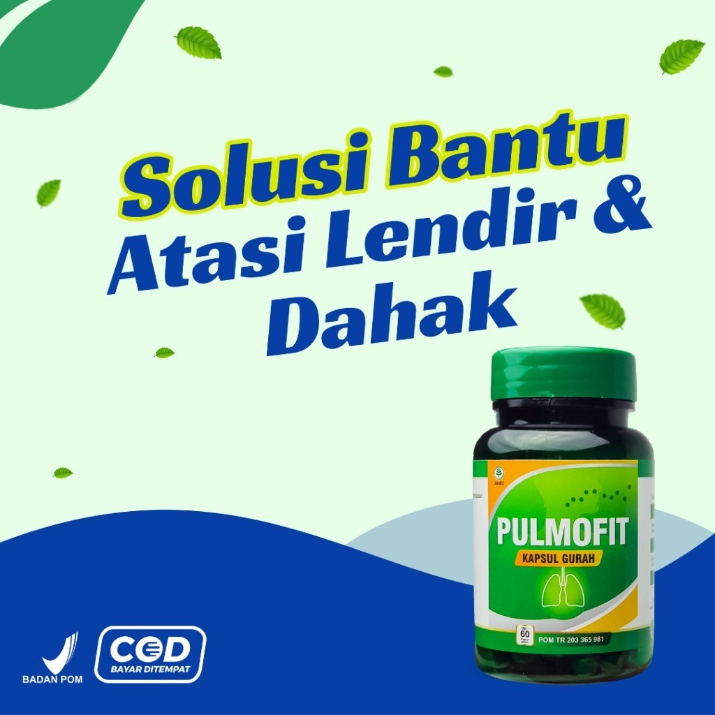 Jual Kapsul Gurah Pulmofit Obat Herbal Asma Sesak Nafas Tbc Paru Paru