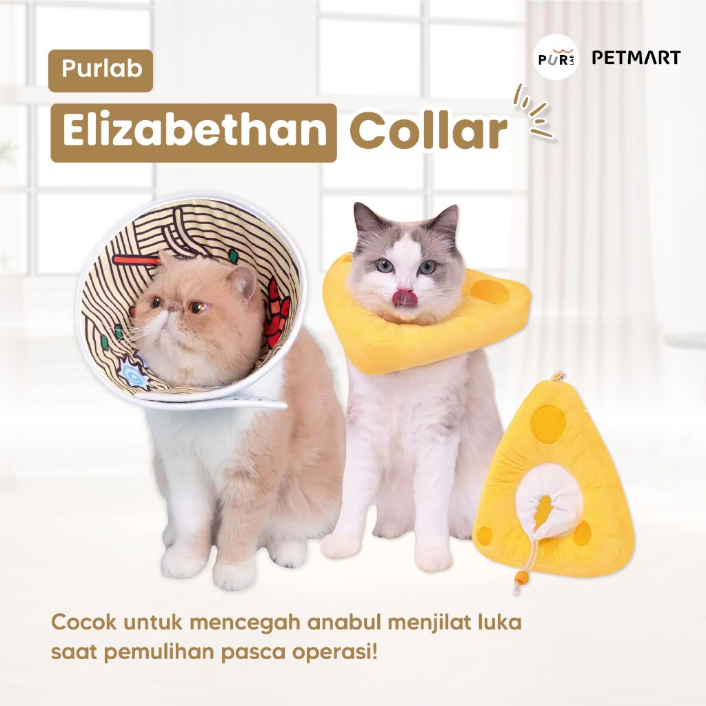 Jual PURLAB Elizabethan Pet Collar | Shopee Indonesia