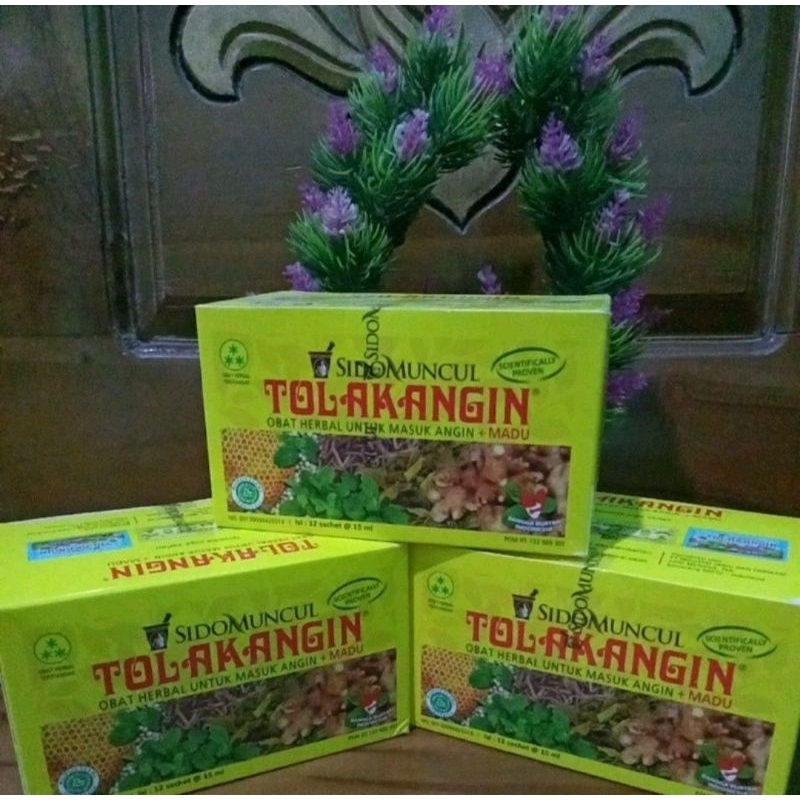 Jual Tolak Angin Cair Sidomuncul Box Isi Herbal Masuk Angin Shopee Indonesia