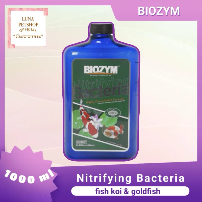 Jual Biozym Koi Goldfish Nitrifying Bacteria Highly Consentrate Formula Bakteri Starter Ikan